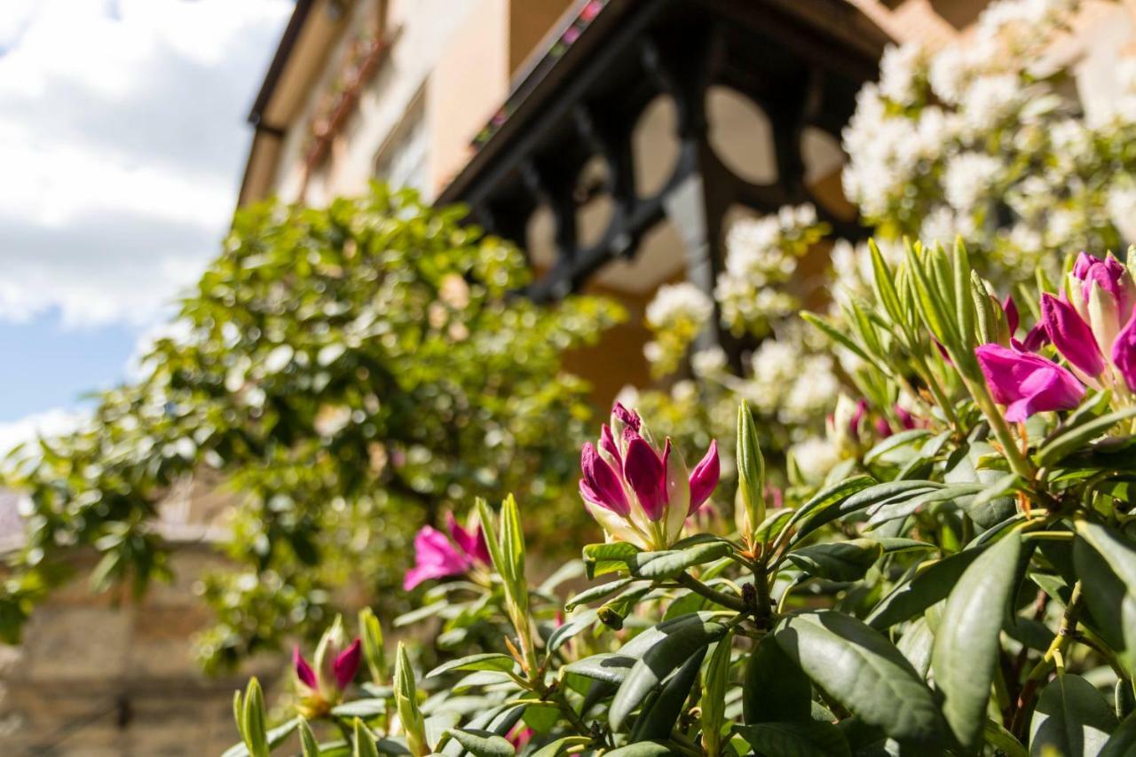 Gaestehaus Musmann Hannoversch Münden Dış mekan fotoğraf
